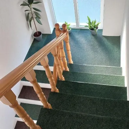 Sasa * Vranje