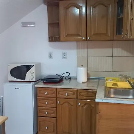 Sasa Vranje